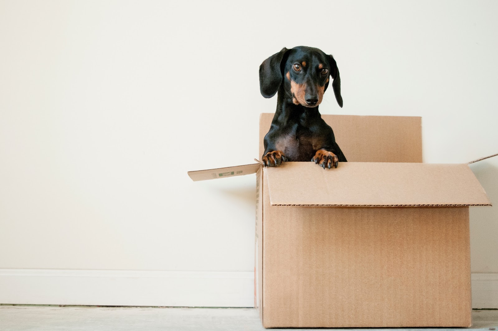 Cardboard Boxes 101: Choosing The Right Solution for Your Business